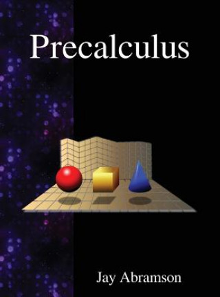Kniha Precalculus JAY ABRAMSON
