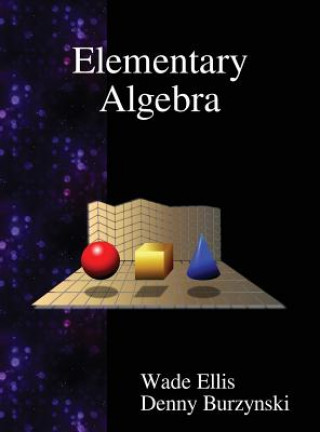 Kniha Elementary Algebra Wade Ellis