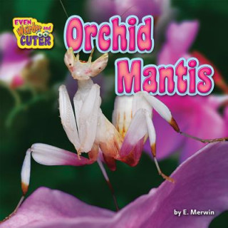 Książka Orchid Mantis E Merwin