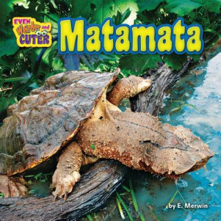 Knjiga Matamata E Merwin
