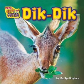 Knjiga Dik-Dik Marilyn Brigham