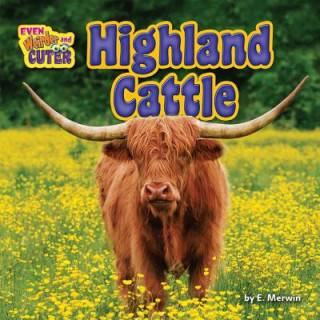 Kniha Highland Cattle E Merwin