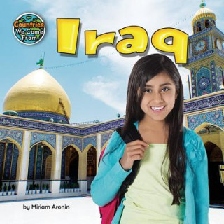 Book Iraq Miriam Aronin