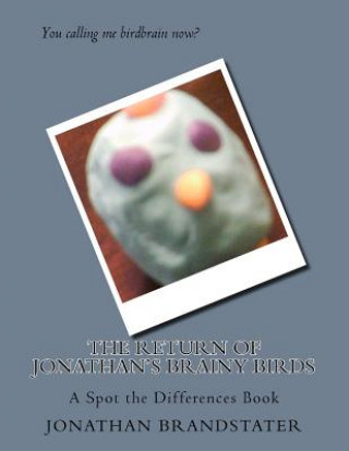 Carte The Return of Jonathan's Brainy Birds: A Spot the Differences Book MR Jonathan Jay Brandstater