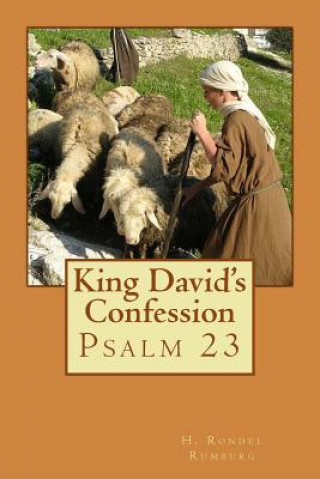 Kniha King David's Confession: Psalm 23 Dr H Rondel Rumburg