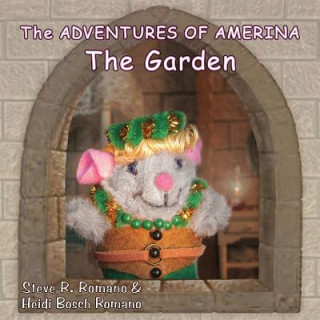 Livre Adventures of Amerina Steve R Romano