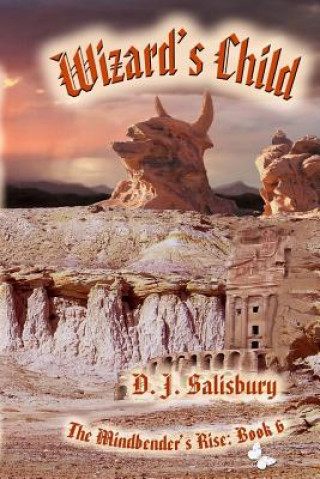 Buch Wizard's Child D J Salisbury