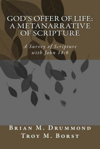 Kniha God's Offer of Life: A Metanarrative of Scripture: A Survey of Scripture with John 14:6 Brian M Drummond