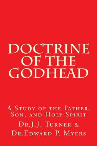 Książka Doctrine of the Godhead: A Study of the Father, Son, and Holy Spirit Dr J J Turner