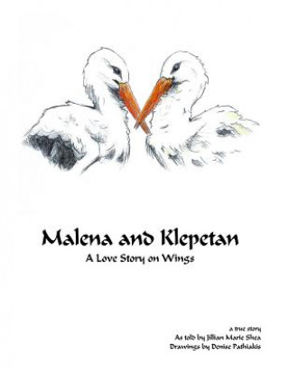 Kniha Malena and Klepetan Jillian Marie Shea
