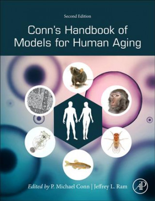 Book Conn's Handbook of Models for Human Aging Jeffrey Ram