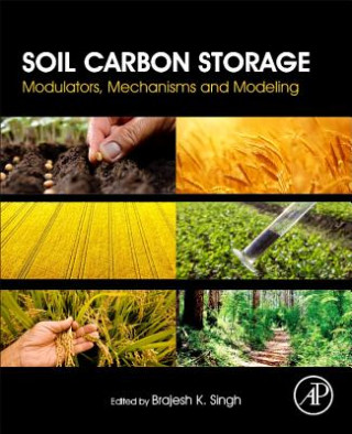 Kniha Soil Carbon Storage Brajesh Singh