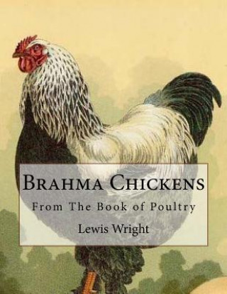 Carte Brahma Chickens: From The Book of Poultry Lewis Wright