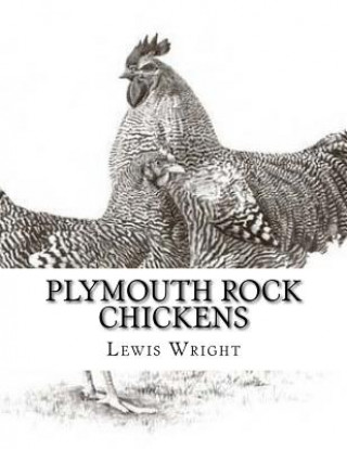 Carte Plymouth Rock Chickens: From The Book of Poultry Lewis Wright