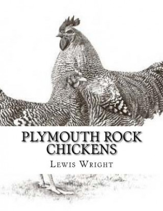 Książka Plymouth Rock Chickens: From The Book of Poultry Lewis Wright