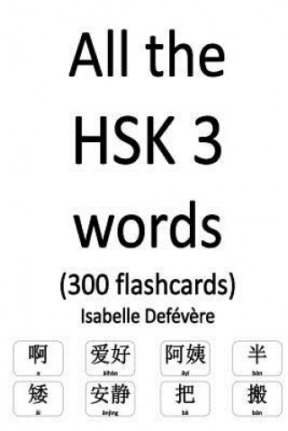 Kniha All the HSK 3 words (300 flashcards) Isabelle Defevere