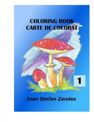 Kniha Coloring Books Mr Ioan Stefan Zandes