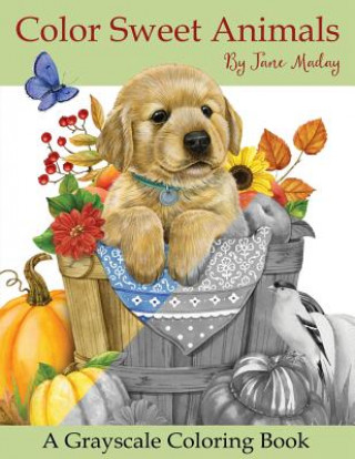 Knjiga Color Sweet Animals: A Grayscale Coloring Book Jane Maday