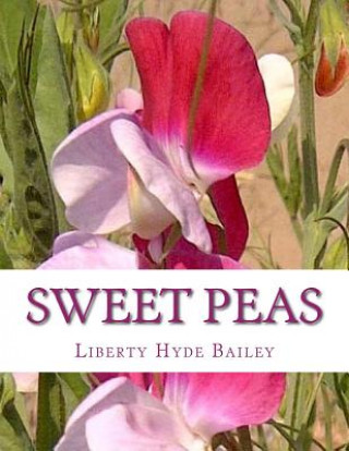 Knjiga Sweet Peas Liberty Hyde Bailey
