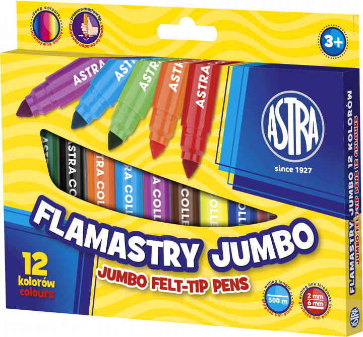 Kniha Flamastry Jumbo 12 kolorów 