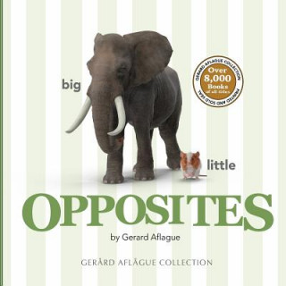 Knjiga Opposites Gerard Aflague