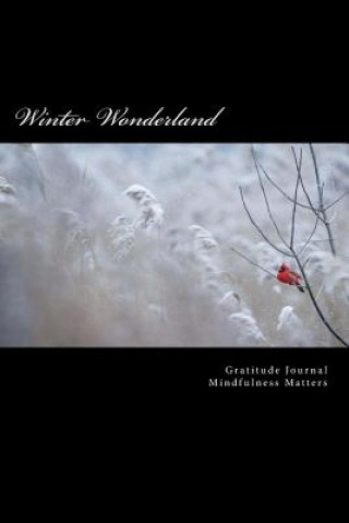 Książka Winter Wonderland: Mindfulness Sunni Daiighs