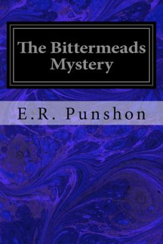 Buch The Bittermeads Mystery E R Punshon