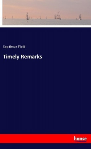 Książka Timely Remarks Septimus Field