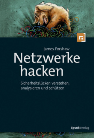 Kniha Netzwerkprotokolle hacken James Forshaw