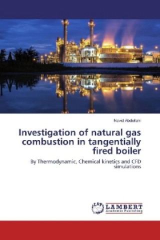 Könyv Investigation of natural gas combustion in tangentially fired boiler Navid Abdollahi