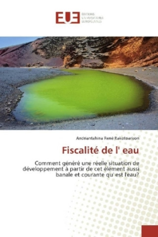 Knjiga Fiscalité de l' eau Andriantahina René Rakotoarison