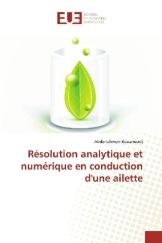 Buch Résolution analytique et numérique en conduction d'une ailette Abderrahmen Bouarroudj