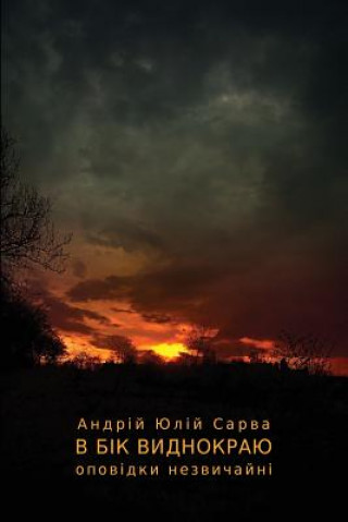 Kniha V Bik Vidnokrayu Andrij Julij Sarwa