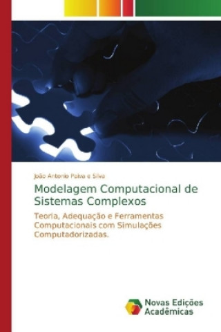 Boek Modelagem Computacional de Sistemas Complexos João Antonio Paiva e Silva