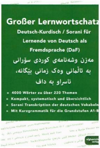 Kniha Großer Lernwortschatz Deutsch-Kurdisch Sorani für Deutsch als Fremdsprache Bahman Bahrami