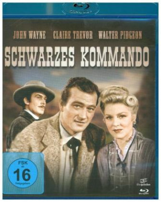 Video Schwarzes Kommando, 1 Blu-ray Raoul Walsh