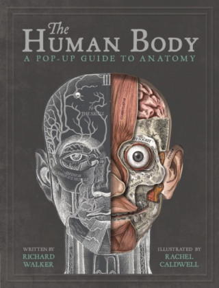 Kniha The Human Body Richard Walker
