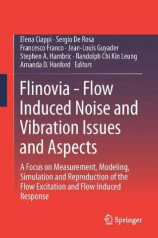 Książka Flinovia-Flow Induced Noise and Vibration Issues and Aspects-II Elena Ciappi