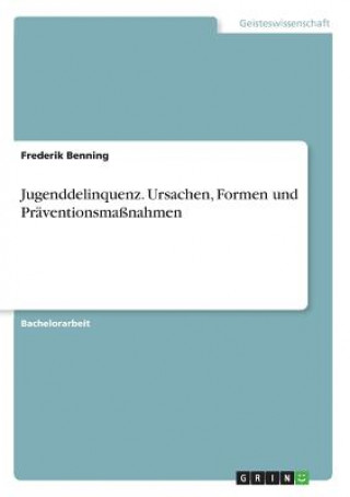 Könyv Jugenddelinquenz. Ursachen, Formen und Präventionsmaßnahmen Frederik Benning