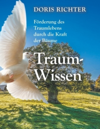 Knjiga Traum - Wissen Doris Richter