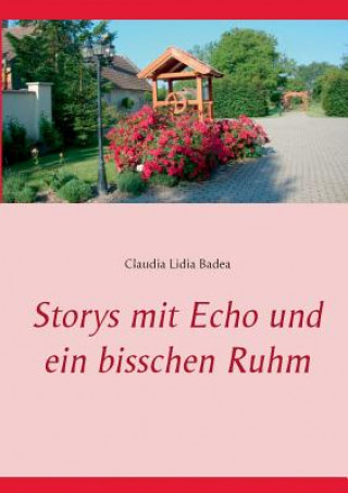 Kniha Storys mit Echo und ein bisschen Ruhm Claudia Lidia Badea