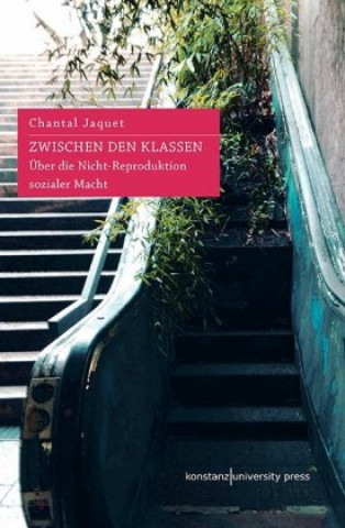 Buch Zwischen den Klassen Chantal Jaquet