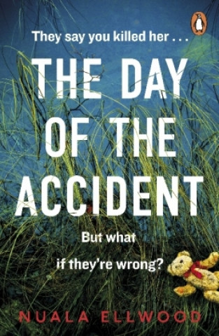 Kniha Day of the Accident Nuala Ellwood