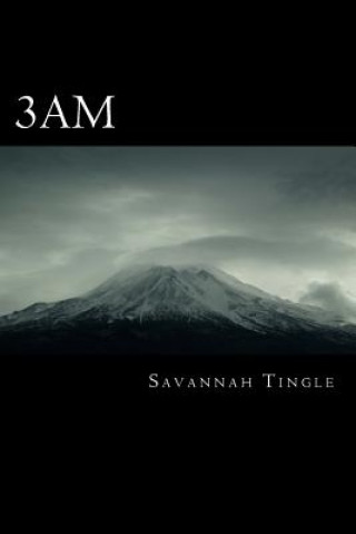 Knjiga 3am Savannah Brianne Tingle