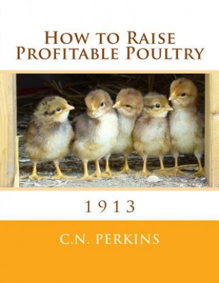 Kniha How to Raise Profitable Poultry C N Perkins