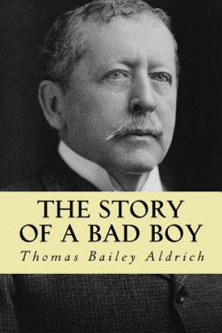 Книга The story of a bad boy Thomas Bailey Aldrich