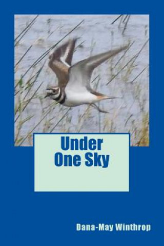 Buch Under One Sky Dana-May Winthrop