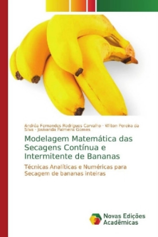 Carte Modelagem Matematica das Secagens Continua e Intermitente de Bananas Andréa Fernandes Rodrigues Carvalho