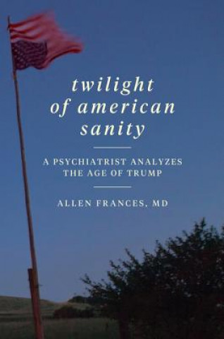 Kniha Twilight of American Sanity Allen Frances