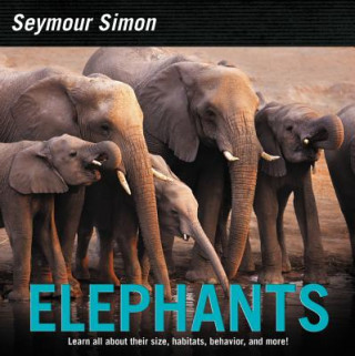 Carte Elephants SIMON  SEYMOUR